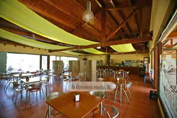 Cafetería. Camping San Pedro de La Ribera