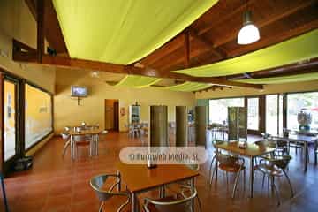 Cafetería. Camping San Pedro de La Ribera