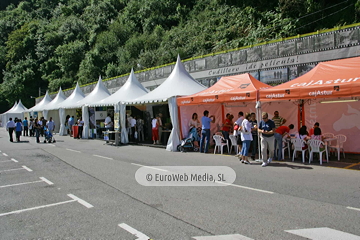 Día de Asturias