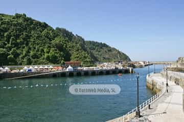 Día de Asturias