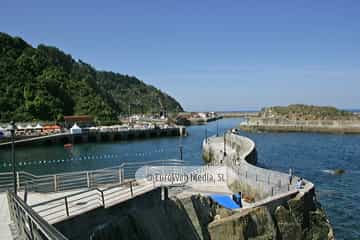 Día de Asturias