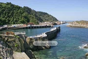 Día de Asturias