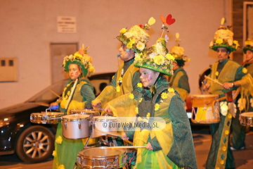 Fiesta de Antroxu o Carnaval de Mieres 2006. Fiesta de Antroxu o Carnaval de Mieres
