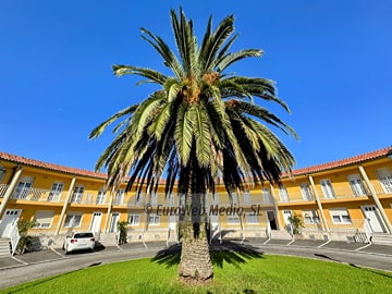 Exteriores. Apartamentos San Pedro Llanes