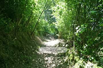 Ruta senderista de El Camín Encantáu (Valle de Ardisana). Ruta senderista de El Camín Encantáu