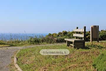 Ruta la Senda Norte en el concejo de Castrillón. Senda Costa Norte en el concejo de Castrillón