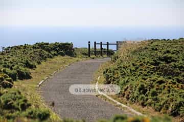 Ruta la Senda Norte en el concejo de Castrillón. Senda Costa Norte en el concejo de Castrillón