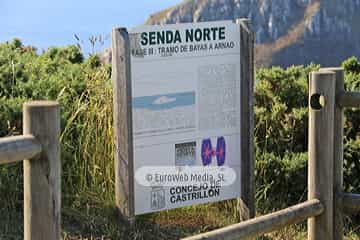 Ruta la Senda Norte en el concejo de Castrillón. Senda Costa Norte en el concejo de Castrillón