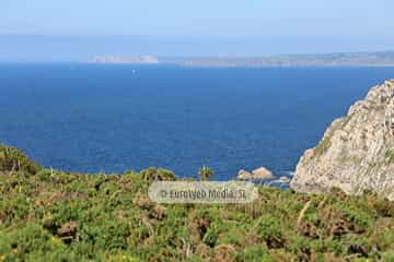 Ruta la Senda Norte en el concejo de Castrillón. Senda Costa Norte en el concejo de Castrillón