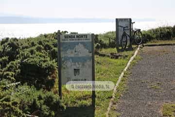 Ruta la Senda Norte en el concejo de Castrillón. Senda Costa Norte en el concejo de Castrillón