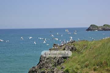 Playa La Cabrera