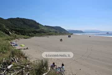 Monumento Natural Isla de Deva y Playón de Bayas