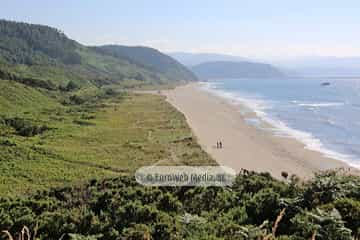 Monumento Natural Isla de Deva y Playón de Bayas