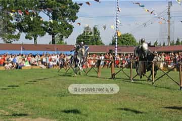 Fiesta de los Exconxuraos de Llanera