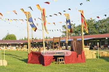 Fiesta de los Exconxuraos de Llanera