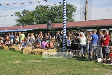 Fiesta de los Exconxuraos de Llanera