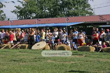 Fiesta de los Exconxuraos de Llanera