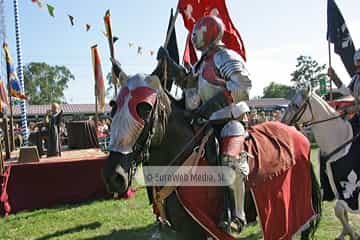 Fiesta de los Exconxuraos de Llanera