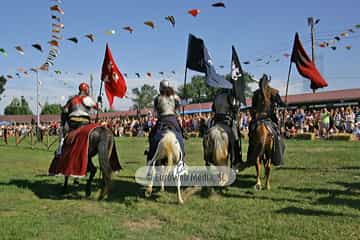 Fiesta de los Exconxuraos de Llanera