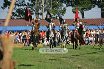 Fiesta de los Exconxuraos de Llanera