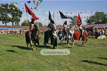 Fiesta de los Exconxuraos de Llanera