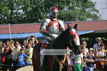 Fiesta de los Exconxuraos de Llanera