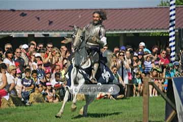 Fiesta de los Exconxuraos de Llanera