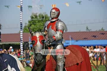 Fiesta de los Exconxuraos de Llanera