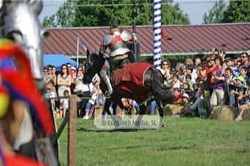 Fiesta de los Exconxuraos de Llanera