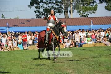 Fiesta de los Exconxuraos de Llanera