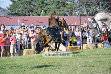 Fiesta de los Exconxuraos de Llanera