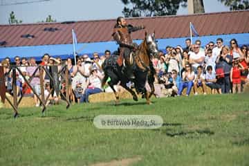 Fiesta de los Exconxuraos de Llanera