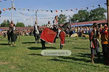 Fiesta de los Exconxuraos de Llanera