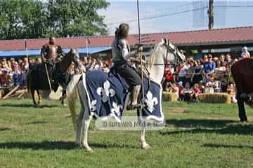 Fiesta de los Exconxuraos de Llanera