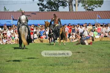 Fiesta de los Exconxuraos de Llanera