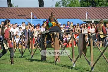 Fiesta de los Exconxuraos de Llanera