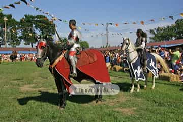 Fiesta de los Exconxuraos de Llanera