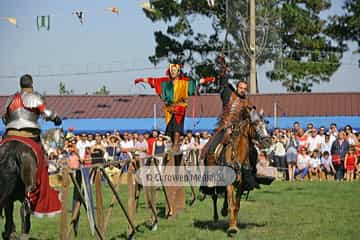 Fiesta de los Exconxuraos de Llanera