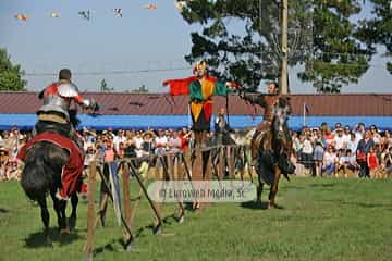 Fiesta de los Exconxuraos de Llanera