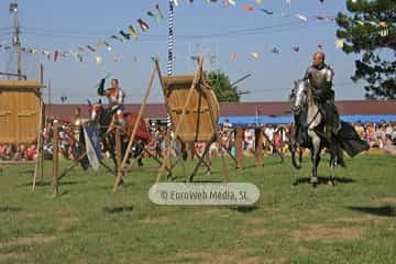 Fiesta de los Exconxuraos de Llanera