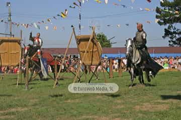 Fiesta de los Exconxuraos de Llanera