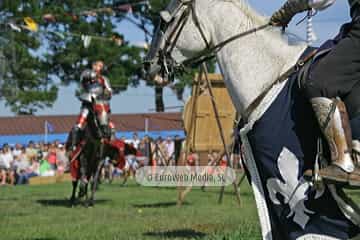 Fiesta de los Exconxuraos de Llanera