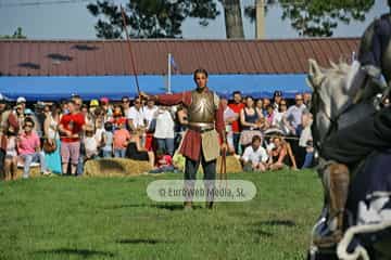 Fiesta de los Exconxuraos de Llanera