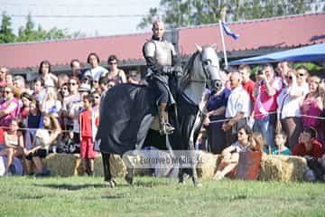 Fiesta de los Exconxuraos de Llanera