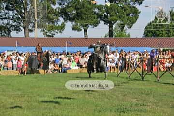 Fiesta de los Exconxuraos de Llanera