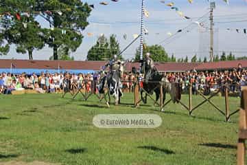 Fiesta de los Exconxuraos de Llanera