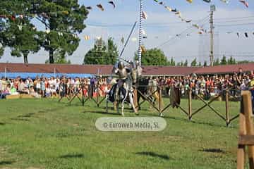 Fiesta de los Exconxuraos de Llanera