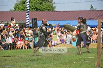 Fiesta de los Exconxuraos de Llanera