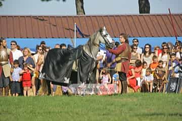 Fiesta de los Exconxuraos de Llanera