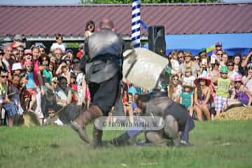 Fiesta de los Exconxuraos de Llanera